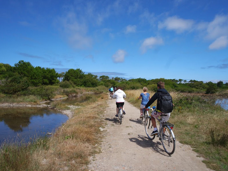 location vélo vendee