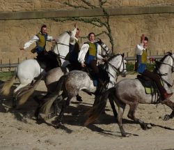 Camping Caravanile : Puy Du Fou Parc