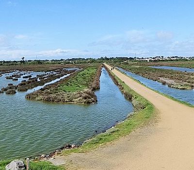 polder sebastopol barbatre noirmoutier