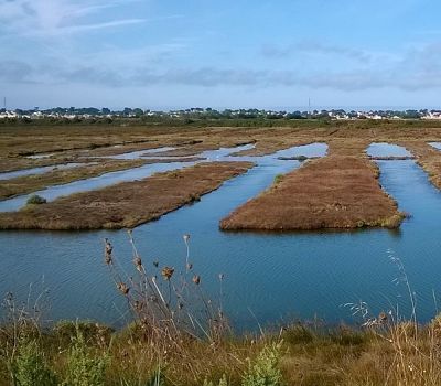 réserve naturelle babatre noirmoutier