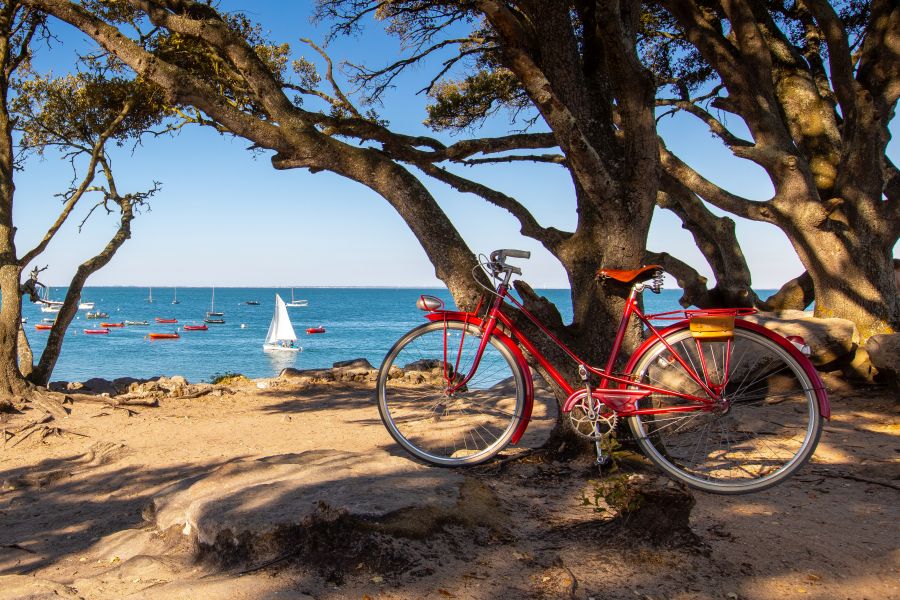 Camping Le Caravan'île : Vieux Vélo Rouge Sur Le Littoral Vendée, île De Noirmoutier En France.