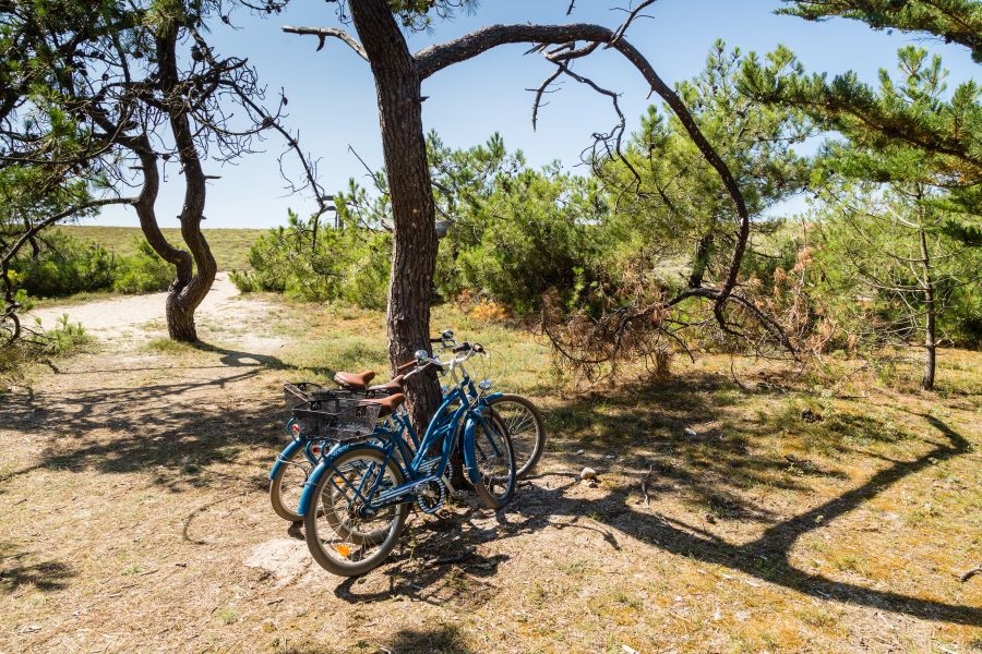 pistes cyclables noirmoutier