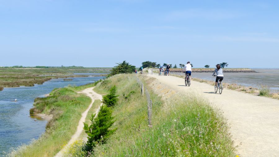 foret vélo noirmoutier