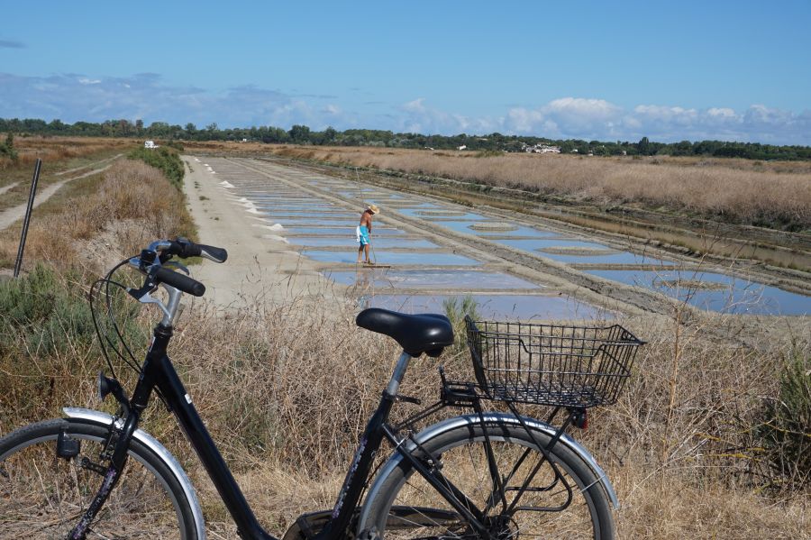balade vélo marais noirmoutier